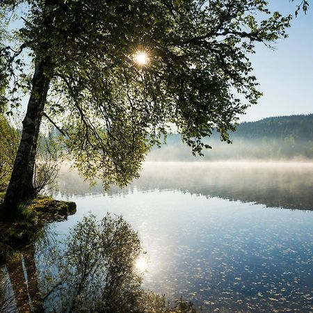 Ferienwohnung Am Schwellenweiher Feldberg  Eksteriør bilde
