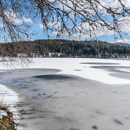 Ferienwohnung Am Schwellenweiher Feldberg  Eksteriør bilde