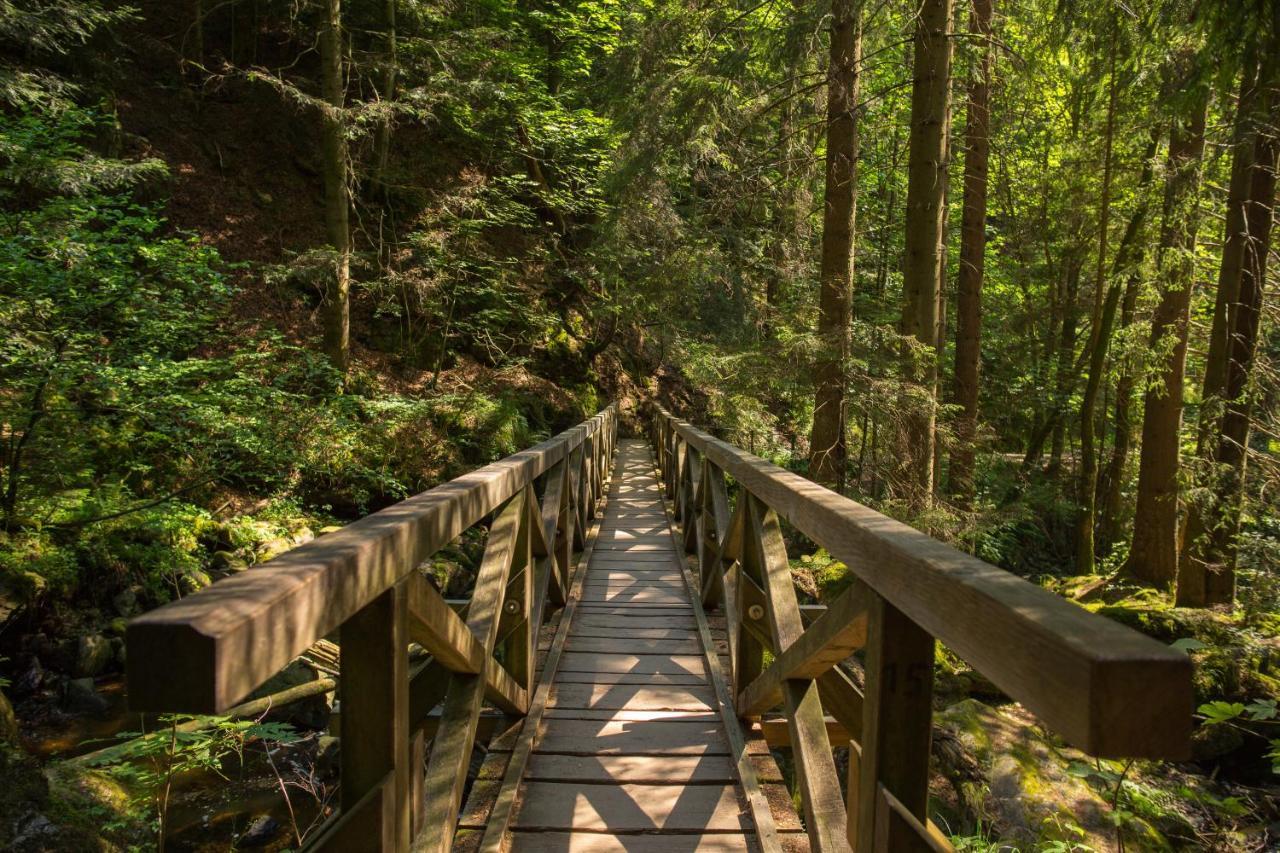 Ferienwohnung Am Schwellenweiher Feldberg  Eksteriør bilde