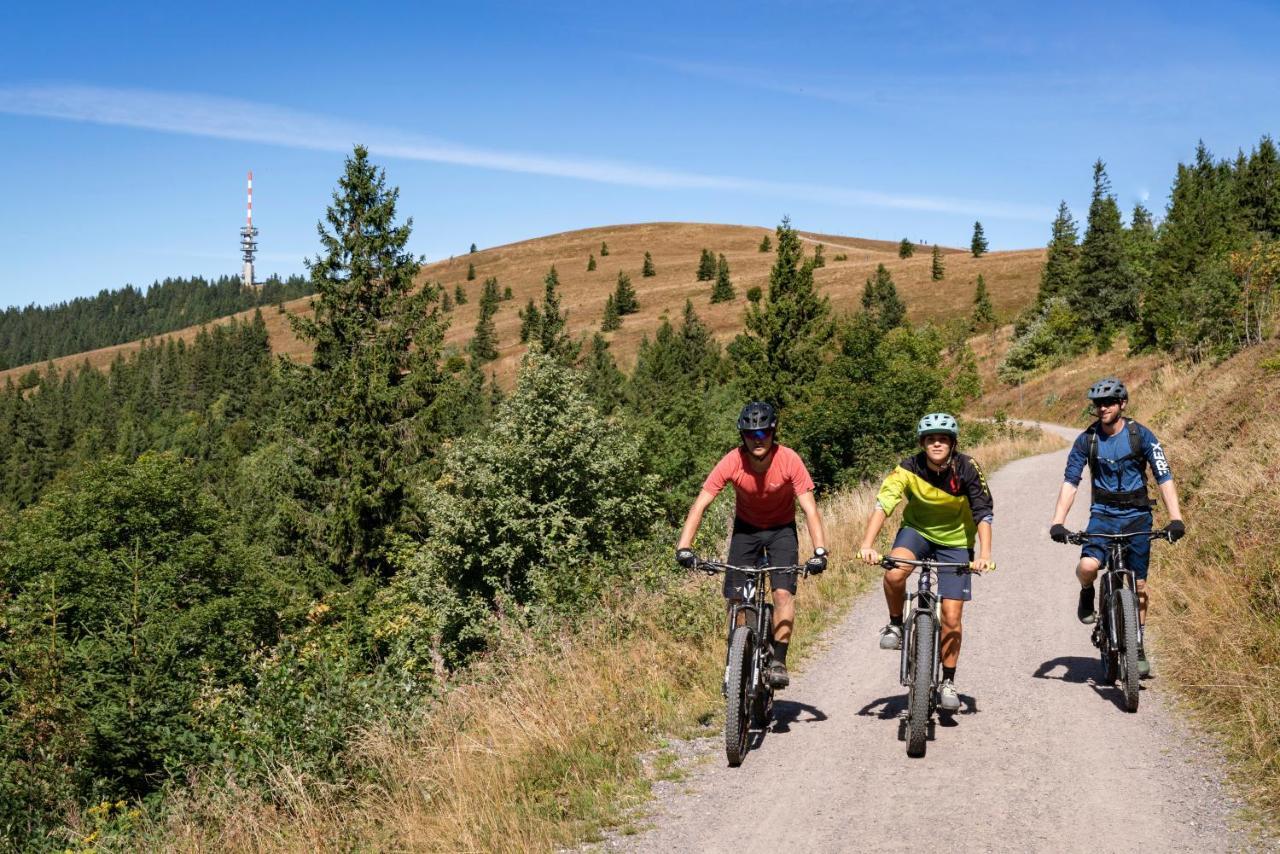Ferienwohnung Am Schwellenweiher Feldberg  Eksteriør bilde