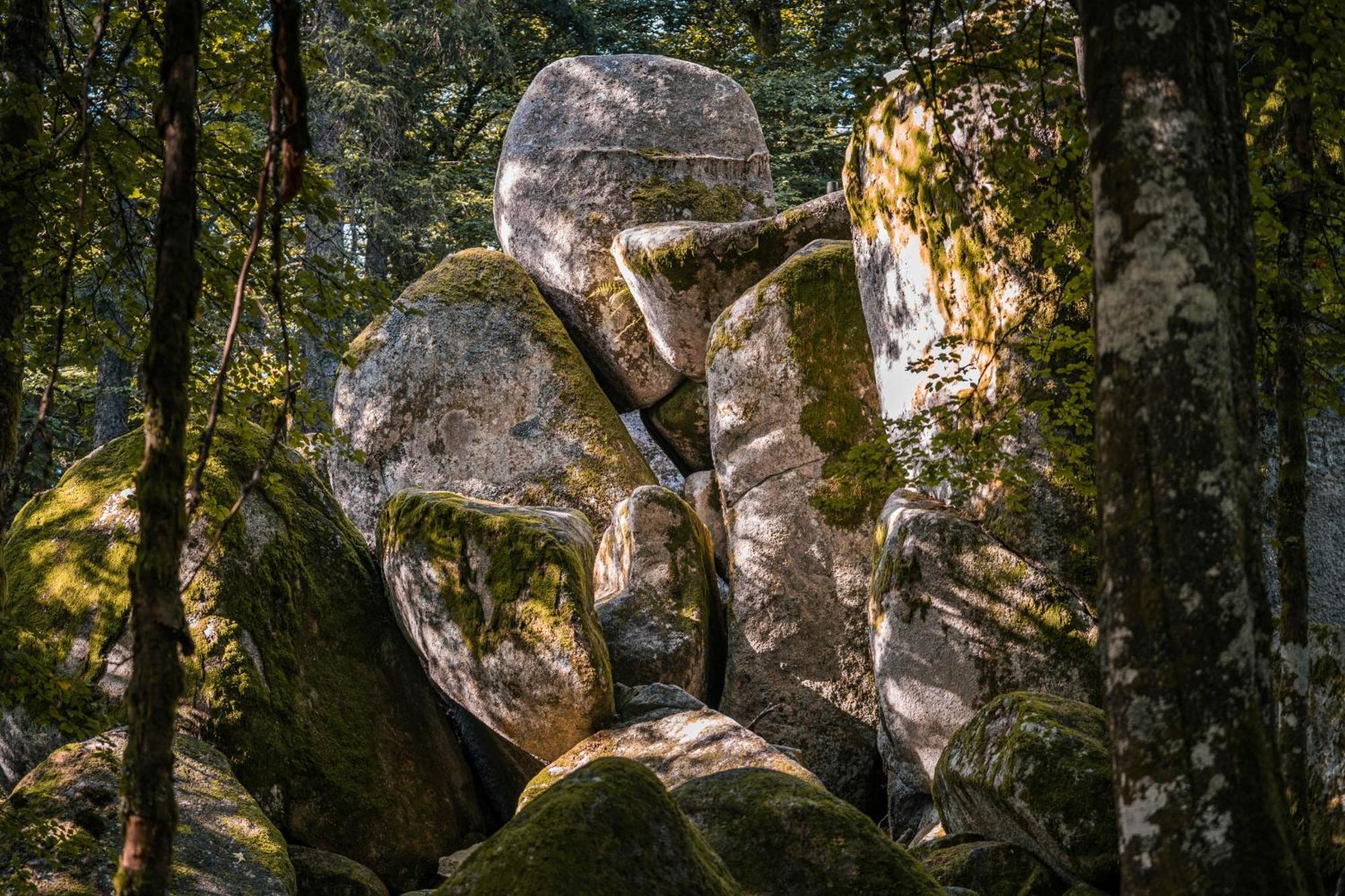 Ferienwohnung Am Schwellenweiher Feldberg  Eksteriør bilde